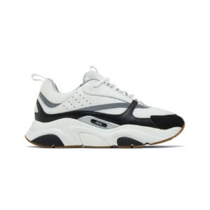 Dior B22 White & Black